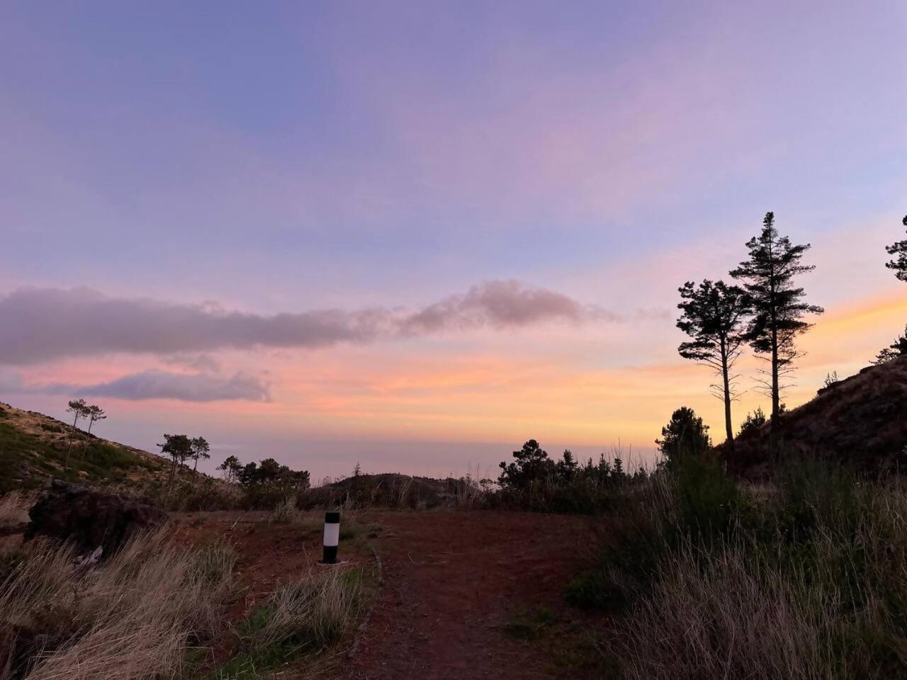 Mountain Eco Shelter 4 Hotell Funchal  Eksteriør bilde